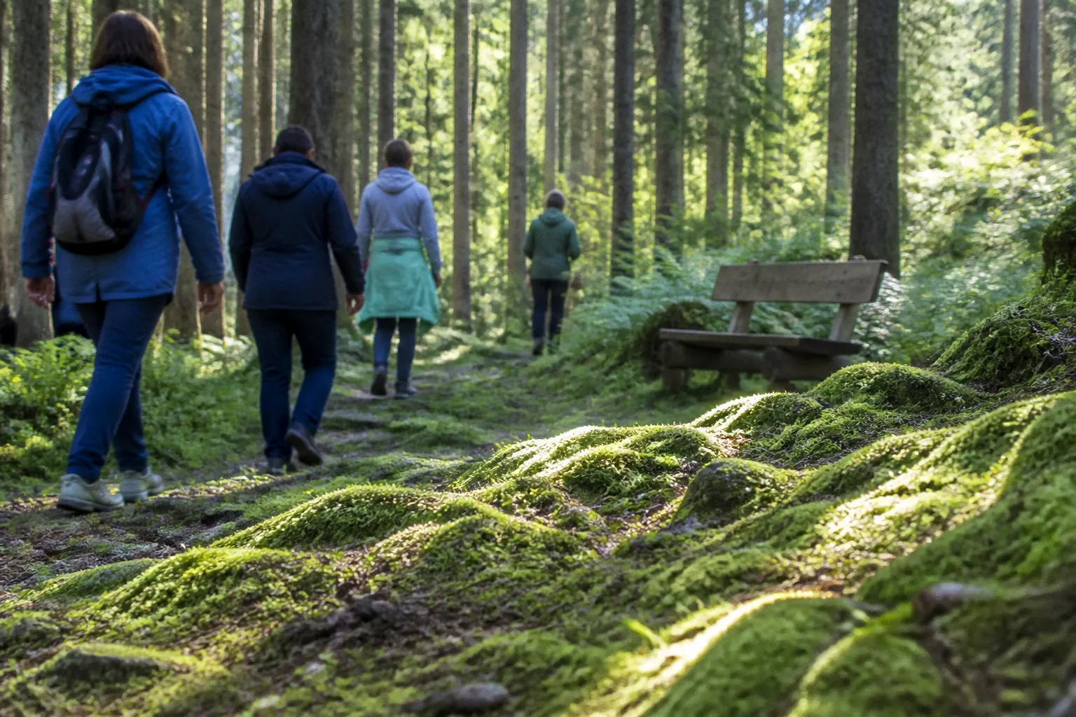 Waldbaden in Brannenburg: 5 Methoden für tiefe Erholung